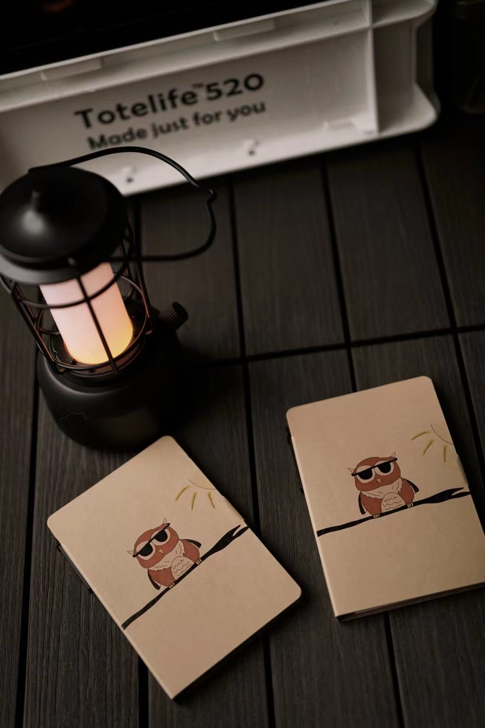 Notepad “Owl in Sunglasses” designed by Ava